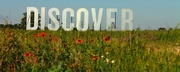 14th May 2013 - Discover