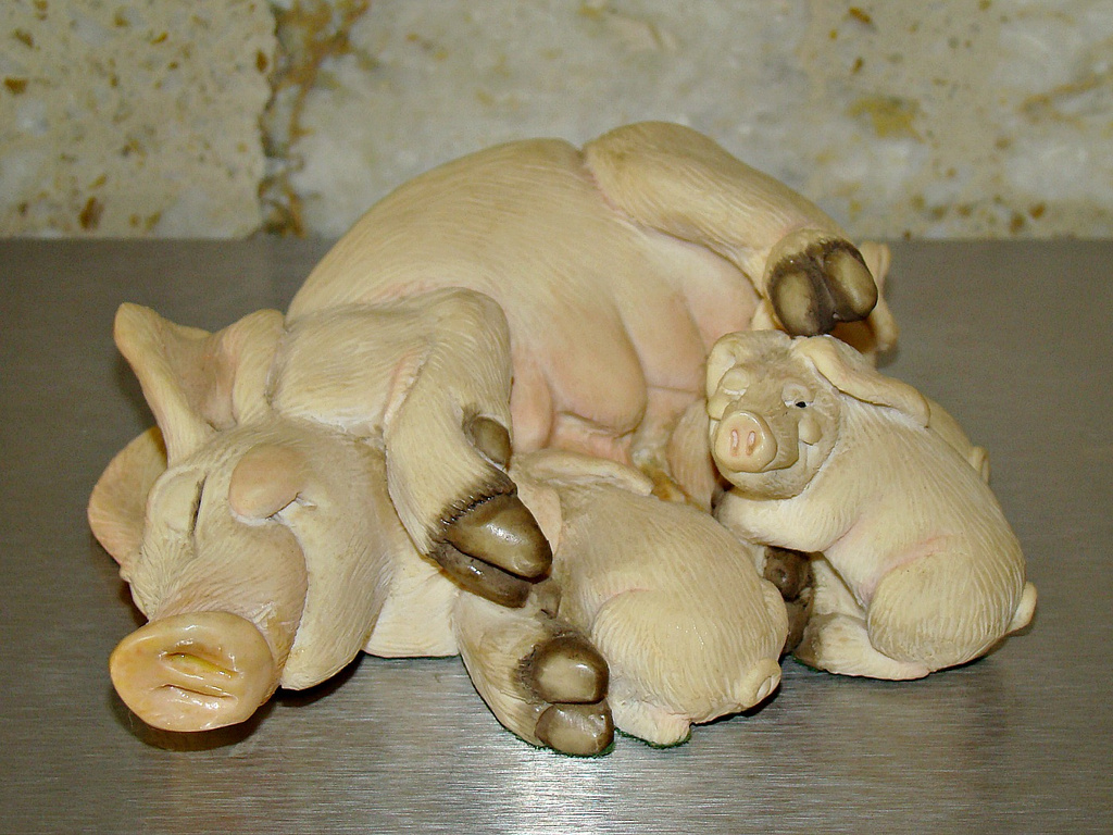 130515 Baby Animals by bulldog