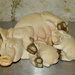 130515 Baby Animals by bulldog