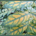 Wisteria leaves  by kiwiflora