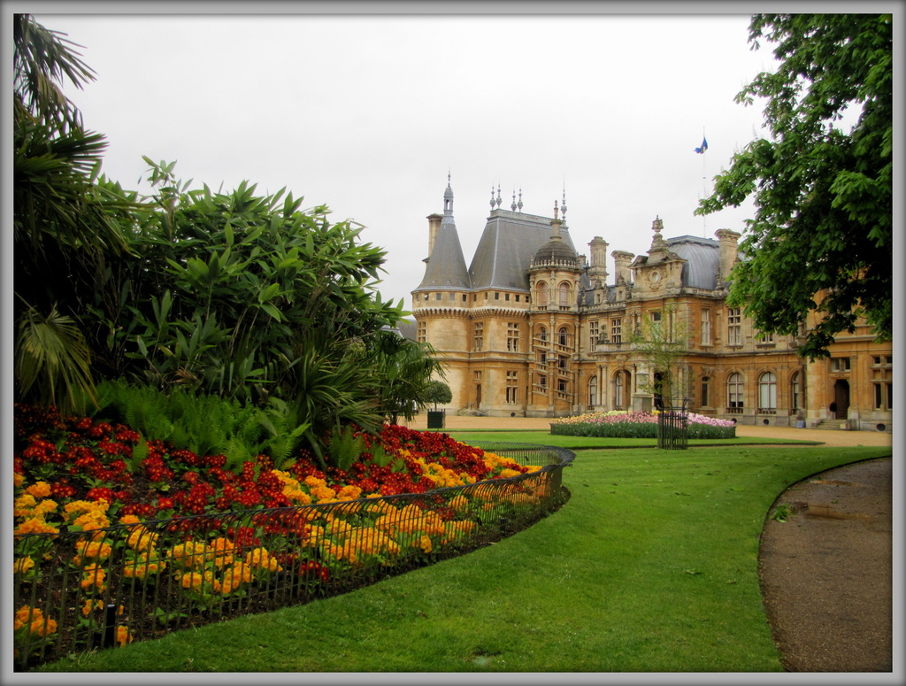 Flowers at Waddesdon Manor by busylady