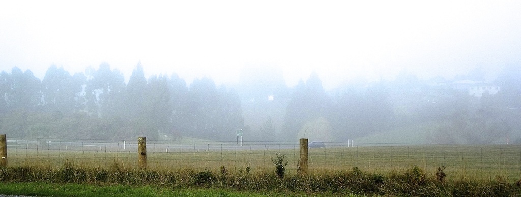 The Big Mist by maggiemae