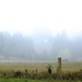 The Big Mist by maggiemae