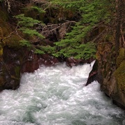 15th May 2013 - The zen of water, rocks and life hanging on - life is like that sometimes