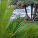Waterfall at the Mirage by hjbenson