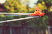 14th May 2013 - Amoeba rides the clothesline