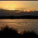 Swan Lake by pictureme