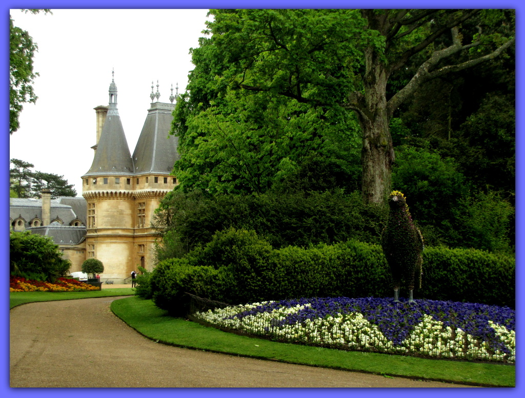 Another glimpse of Waddesdon Manor by busylady