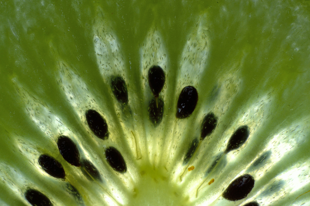 Kiwi fruit by richardcreese