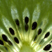 Kiwi fruit by richardcreese