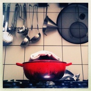 17th May 2013 - Red saucepan