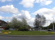 10th May 2013 - Roundabout