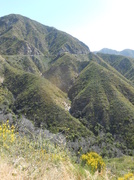 15th May 2013 - Angeles Crest Mountains