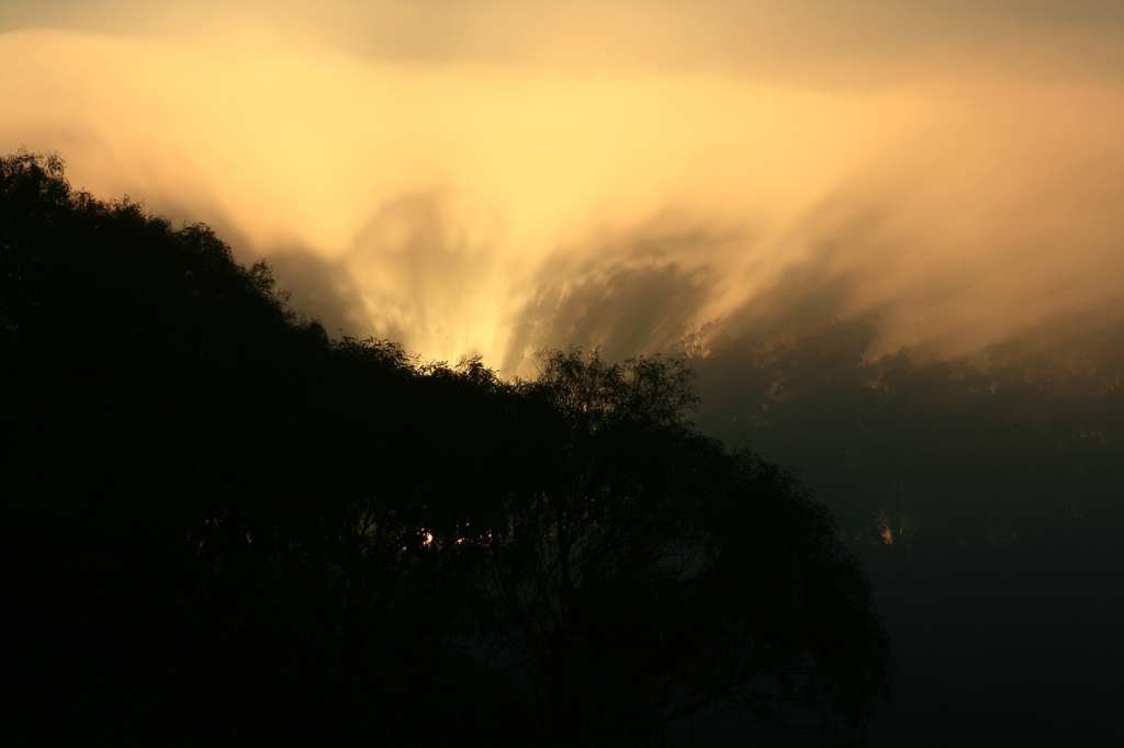 Sun vs the Mist by wenbow