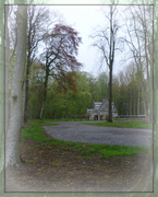 18th May 2013 - Formartine's woods