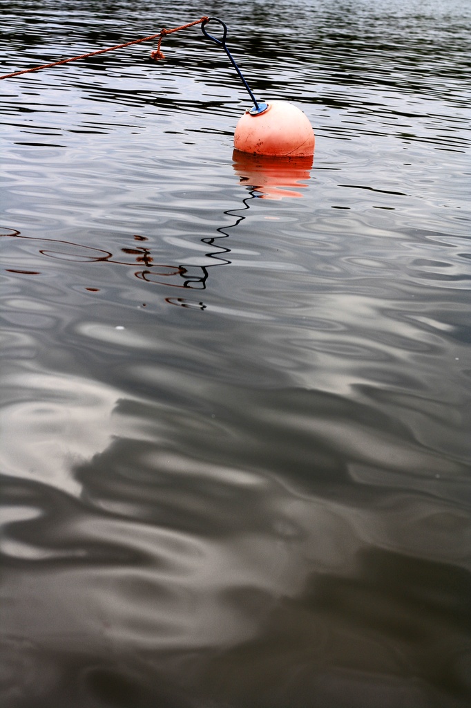 Lonely bouy by susale
