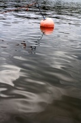 18th May 2013 - Lonely bouy
