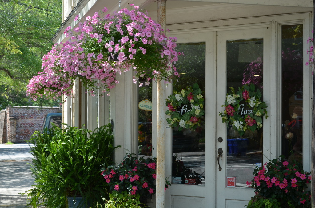 Flower shop, Charleston, SC by congaree