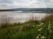 19th May 2013 - The river Severn at Westbury.....