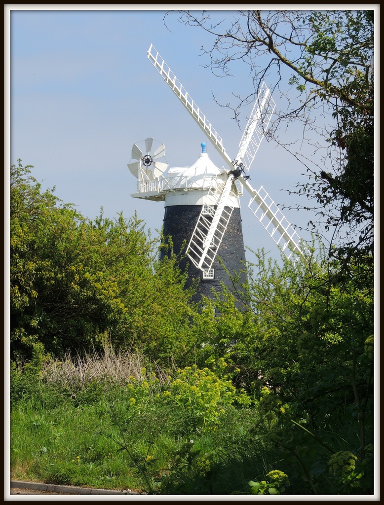Norfolk windmill by rosiekind