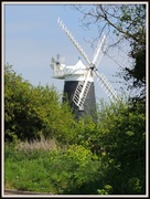 19th May 2013 - Norfolk windmill