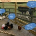 Animal minde game by kerenmcsweeney