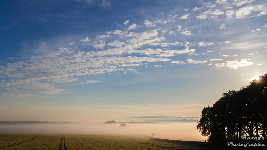 Day 138 - Mist across the Downs by snaggy