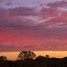 dawn clouds by corymbia