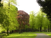 15th May 2013 - Vernon Park