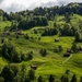 Swiss chalets by rachel70