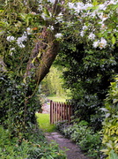 20th May 2013 - Up the garden path.......