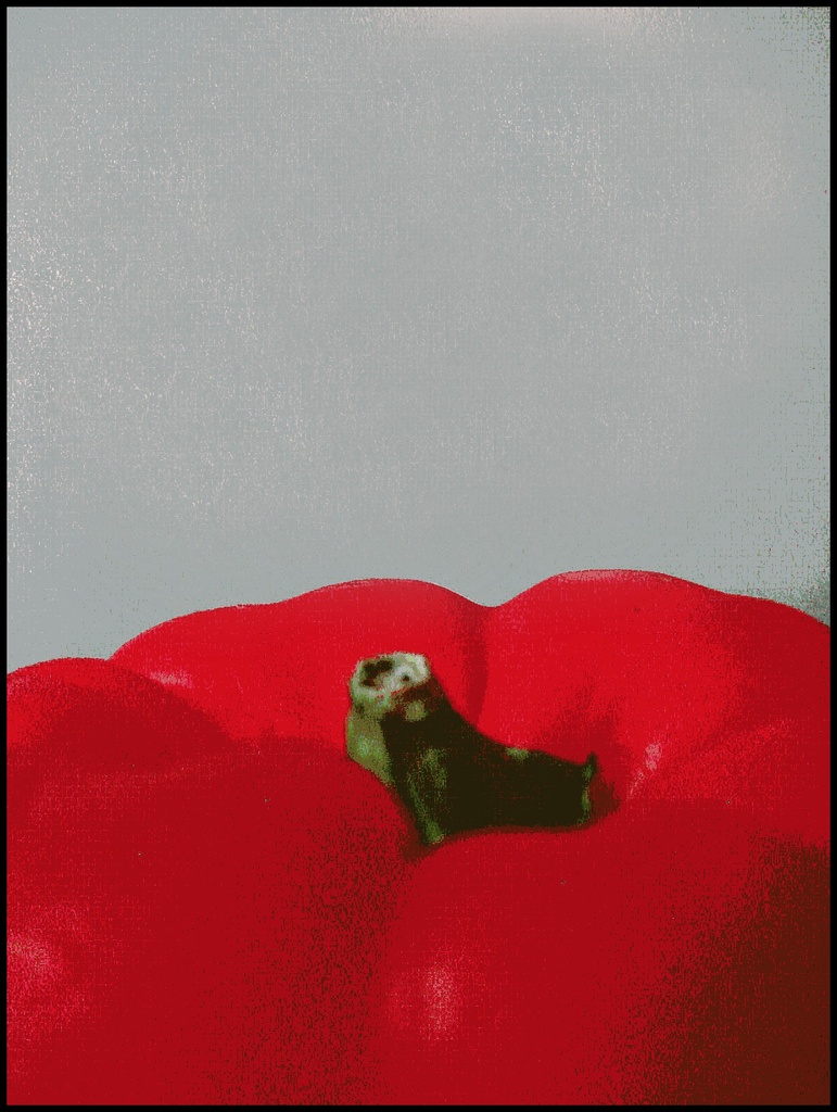 Red Pepper by olivetreeann