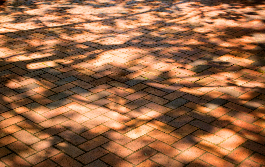 Brick Shadows by nanderson