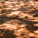 Brick Shadows by nanderson