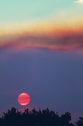 19th May 2013 - red sun