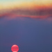 red sun by pocketmouse