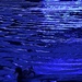 duck in blue light by yaorenliu