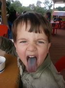 14th May 2013 - blue tongue :)