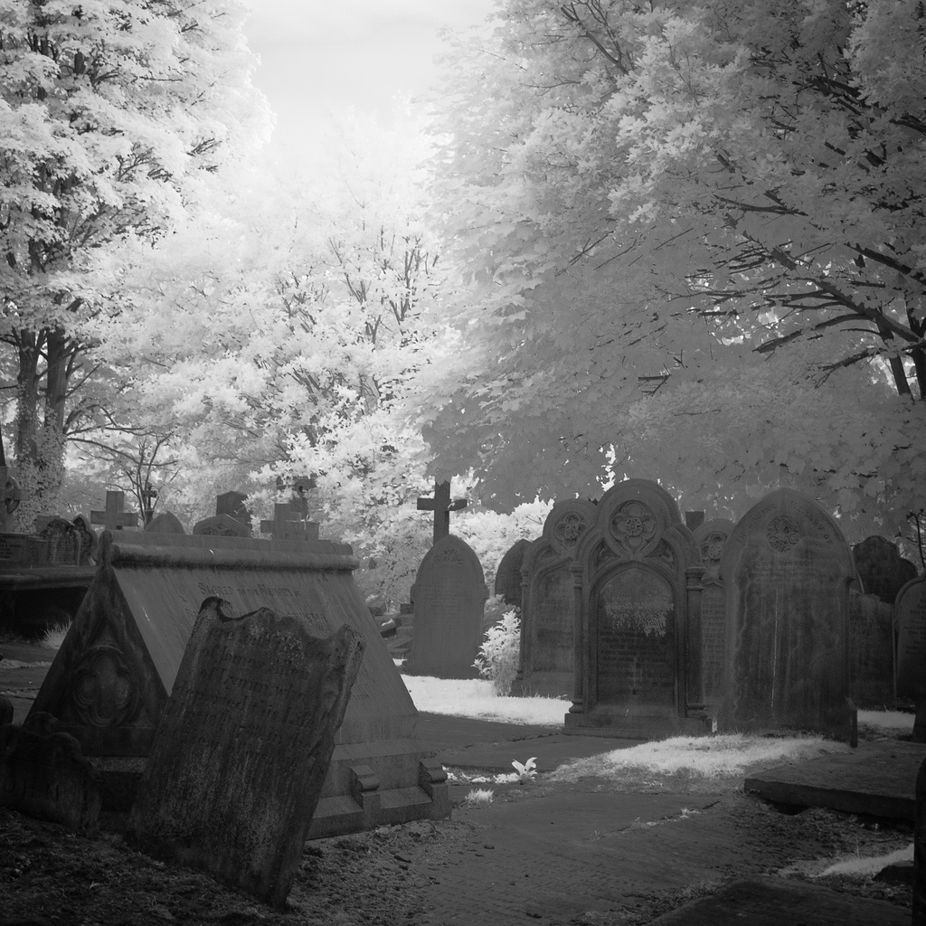 The Graveyard by jocasta