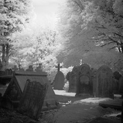 21st May 2013 - The Graveyard