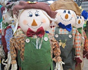 21st May 2013 - smiling scarecrows...