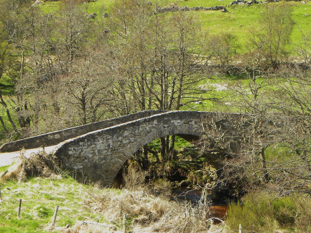 Old Bridge by oldjosh