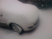 5th Feb 2012 - Snow
