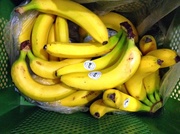 21st May 2013 - 30 Bananas a day...