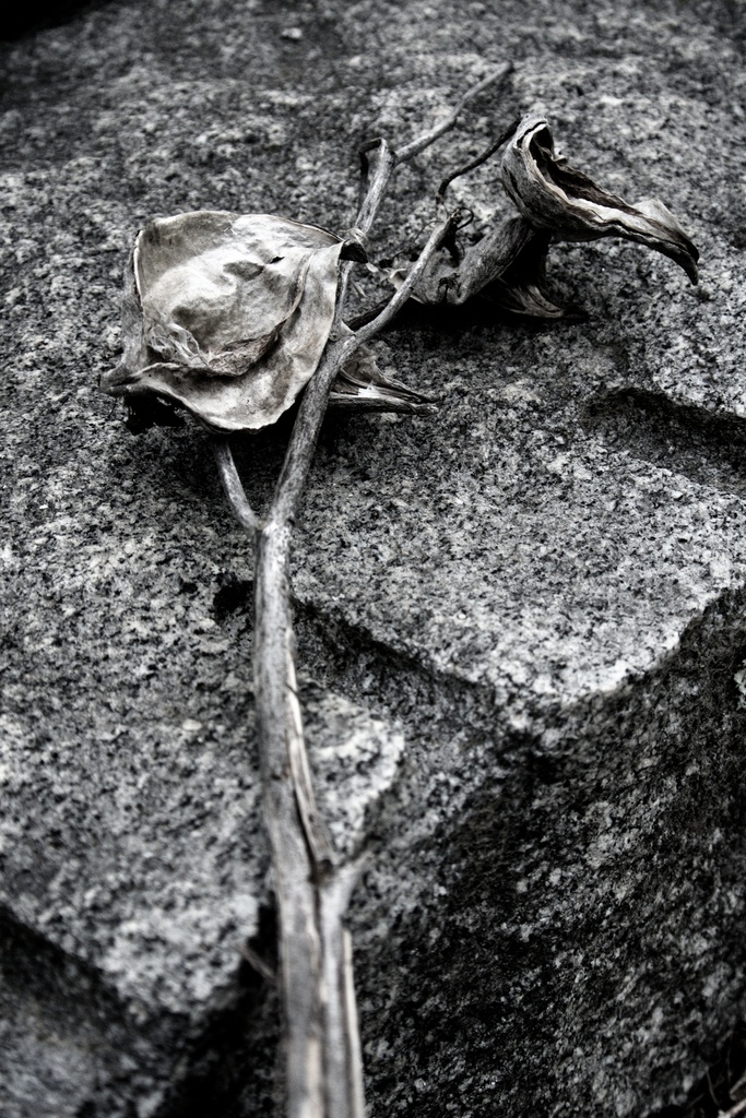 Granite Heirloom by kevin365