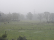 19th May 2013 - Misty Morning