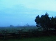 19th May 2013 - Misty Evening