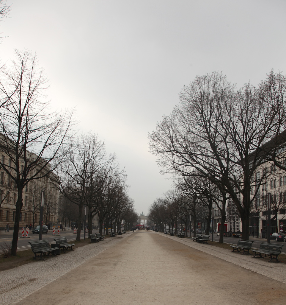 Unter den Linden - I think I need to return when the trees have leaves by lbmcshutter
