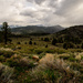 Eastern Sierra Meadow by jgpittenger