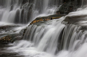 22nd May 2013 - Belfountain Waterfalls